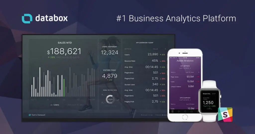 Databox Partnership with Alaniz Marketing