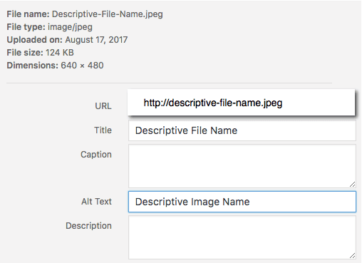 Example of Naming Images with File Name and Alt Tags