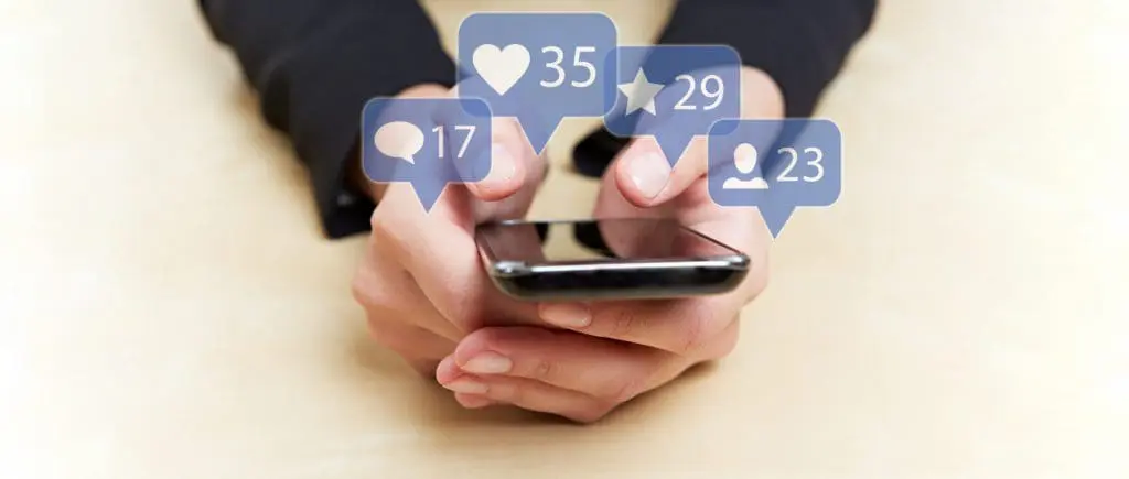Fan Engagement