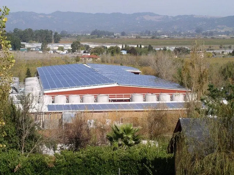 SolarCraft Alaniz Marketing