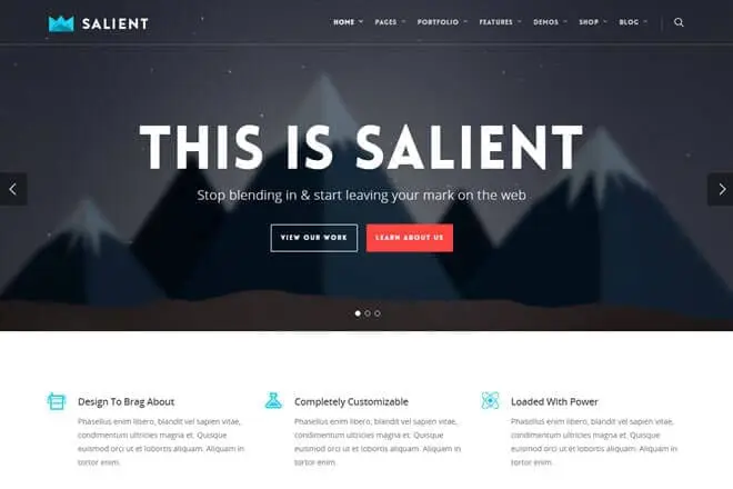 salient wordpress theme speed optimization