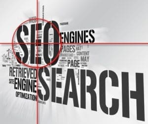 SEO Strategy: 2 Types of Search Engine Optimization, Alaniz Marketing