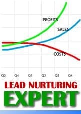 What is Lead Nurturing?, Alaniz Marketing