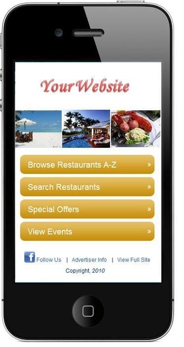 Optimize Your Mobile Website Design, Alaniz Marketing