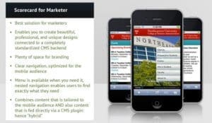 A Guide to Mobile Website Design, Alaniz Marketing