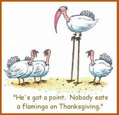 thanksgiving-cartoon.jpg
