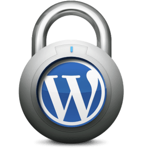 11 Ways to Protect Your WordPress Blog from Malware, Alaniz Marketing