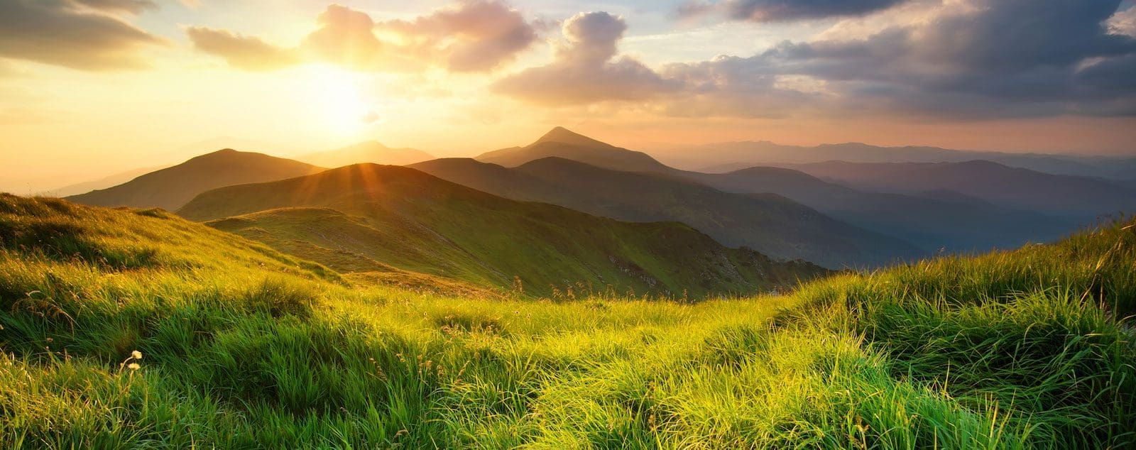 Overview Alaniz Marketing