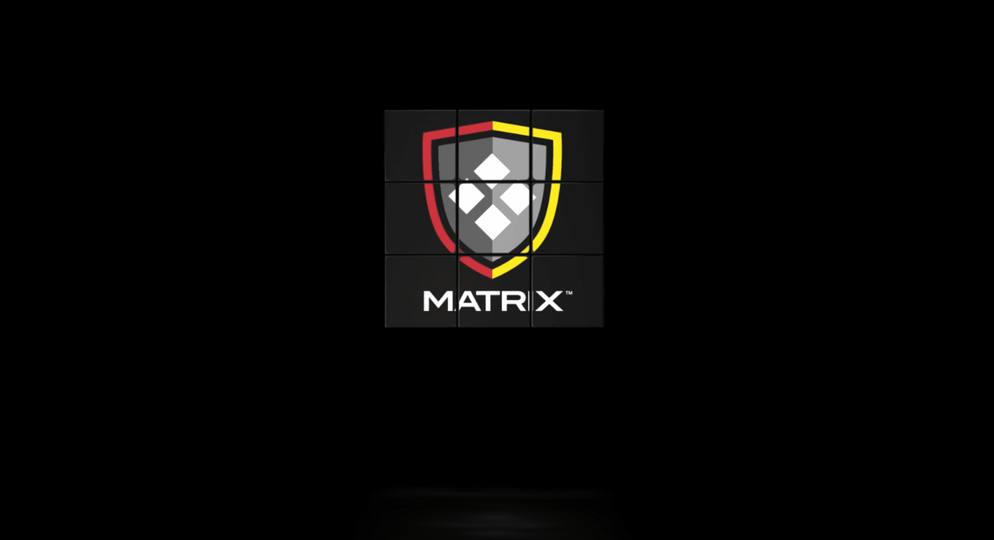 matrix shield icon